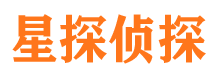 策勒侦探公司